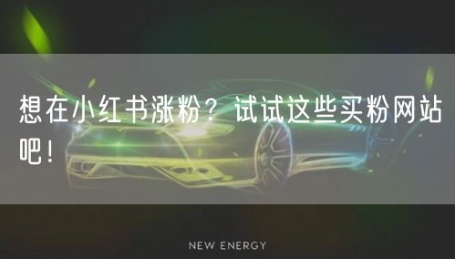 想在小红书涨粉？试试这些买粉网站吧！