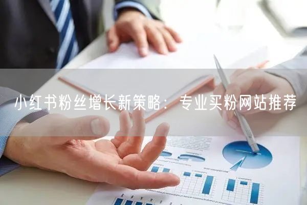 小红书粉丝增长新策略：专业买粉网站推荐