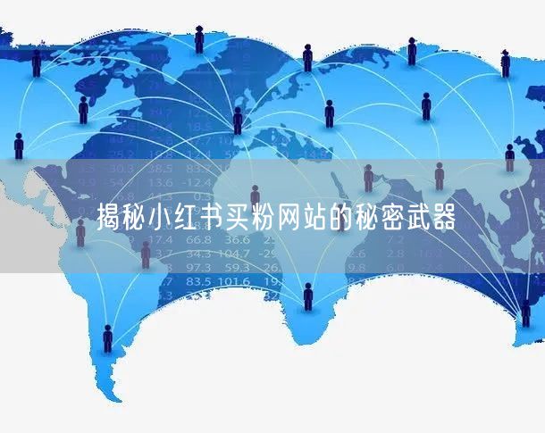 揭秘小红书买粉网站的秘密武器