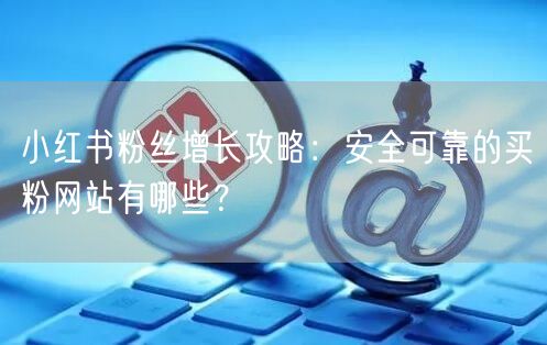 小红书粉丝增长攻略：安全可靠的买粉网站有哪些？