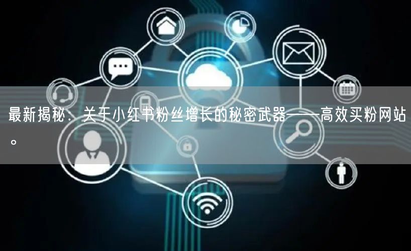 最新揭秘：关于小红书粉丝增长的秘密武器——高效买粉网站。