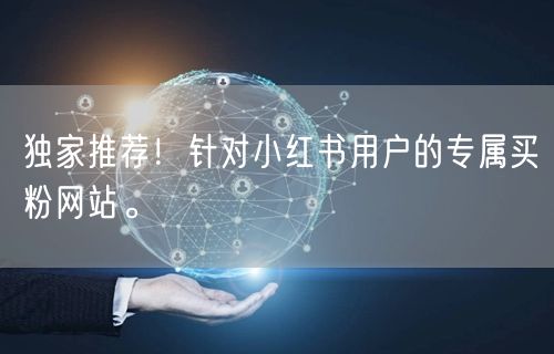 独家推荐！针对小红书用户的专属买粉网站。