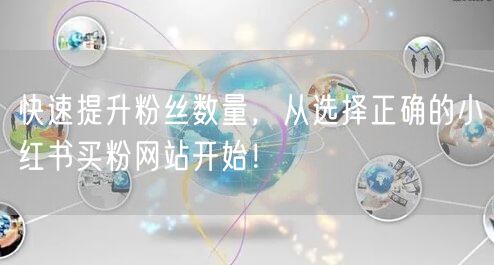 快速提升粉丝数量，从选择正确的小红书买粉网站开始！