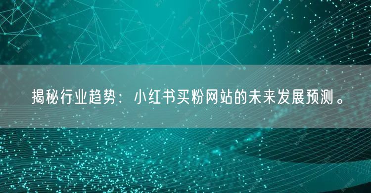 揭秘行业趋势：小红书买粉网站的未来发展预测。